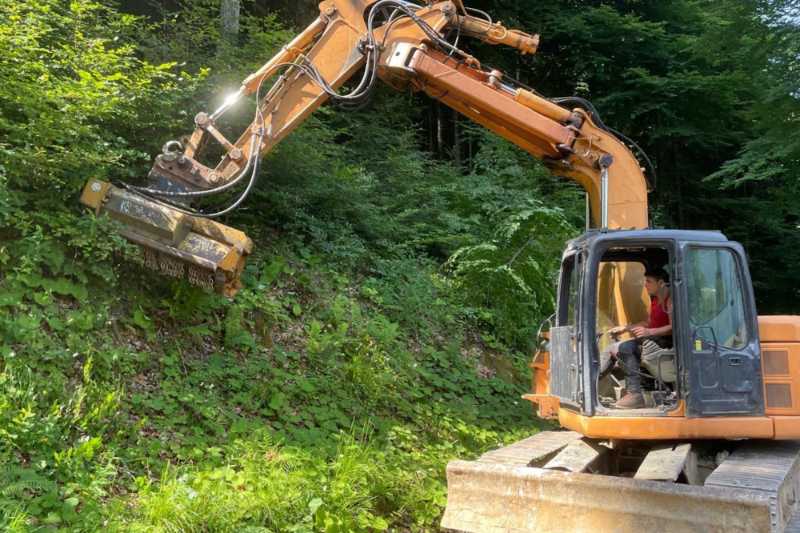 OmecoHub - Immagine CASE CX135SR